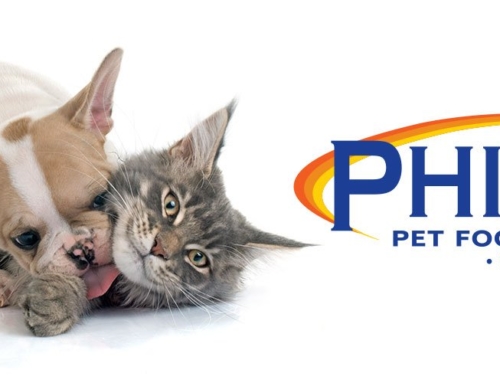 Phillips Pet Food & Supplies announces Billy Hegeman as SVP, eCommerce
