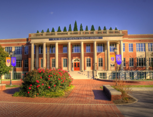 Candice McQueen Appointed 18th President of Lipscomb University