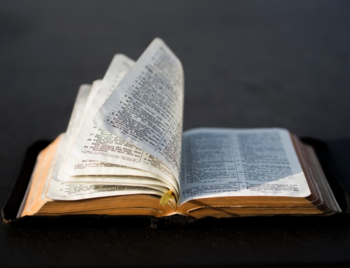 Regina Bergeron Joins Our Daily Bread Ministries as Global Chief Development Officer