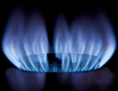 Gas South Names Danielle Fisher Vice President of Marketing and Communications