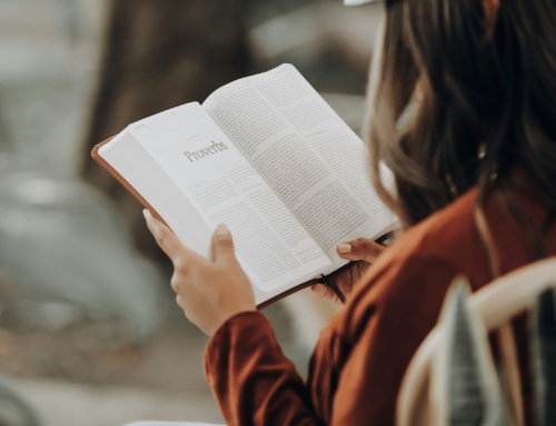 Kristen DeVries Named President and Chief Executive