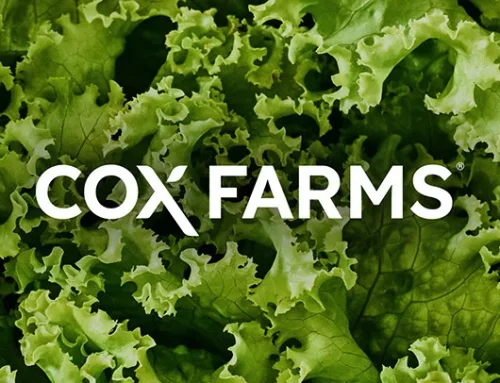 Cox Farms Builds Out People and Culture Leadership with Three Senior HR Appointments